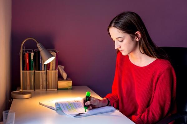 Young person in red sweater highlights a paper at their desk